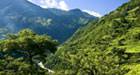 A valley near Nainital, India